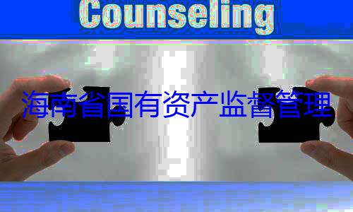 委副书记王资产监督管海南省国有查调查理委员会党有福接受审